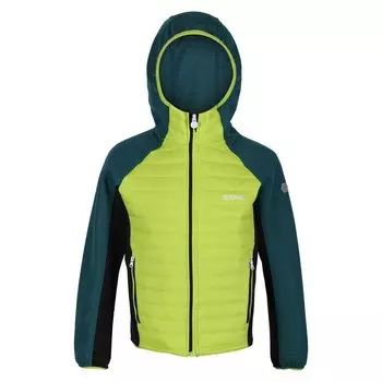 Куртка Regatta Kielder Hybrid V, зеленый