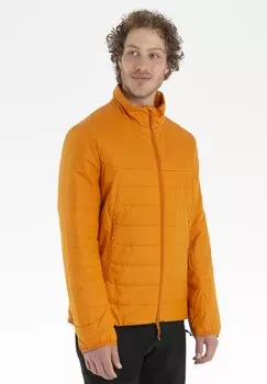 Куртка Softshell Merinoloft Jacket Soft Shell Jacket Earth Icebreaker, цвет earth