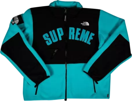 Куртка Supreme x The North Face Arc Logo Denali Fleece Jacket 'Teal', бирюзовый