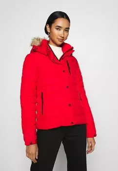 Куртка зимняя Superdry, красный