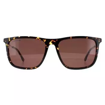 Квадратные мужские гаваны l945s Lacoste, коричневый