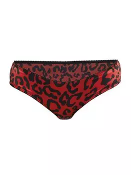 Леопардовые хипстерские трусики DOLCE&GABBANA, неро