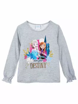 Лонгслив Disney Frozen, цвет grau/bunt