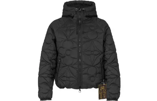 LOUIS VUITTON Мужской пуховик, цвет Black