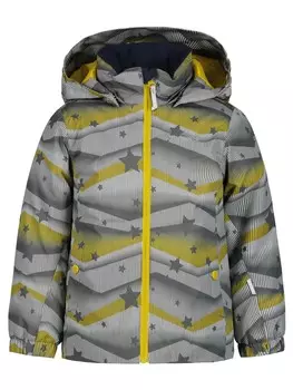 Лыжная куртка Icepeak JAPERI KD, серый
