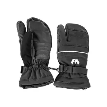 Лыжные перчатки WHISTLER Allegro