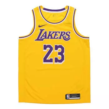 Майка Nike LeBron James Icon Edition Swingman Los Angeles Lakers Yellow, желтый