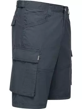 Мерли шорты Ragwear, серый