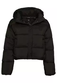 Межсезонная куртка Superdry, черный