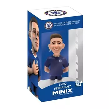 Миникс, Челси, Энцо Фернандес Minix