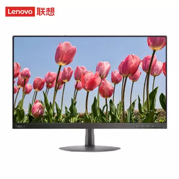 Монитор Lenovo T24A 23,8" VGA+HDMI