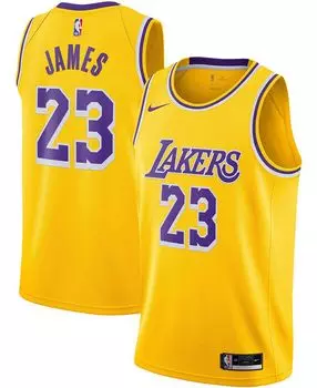 Мужская футболка lebron james los angeles lakers 2020/21 swingman - icon edition Nike