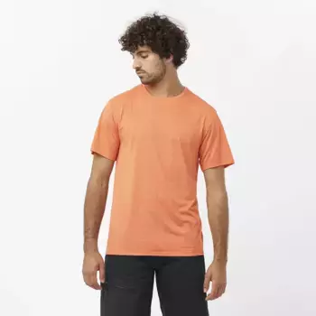 Мужская футболка Outline Salomon, оранжевый