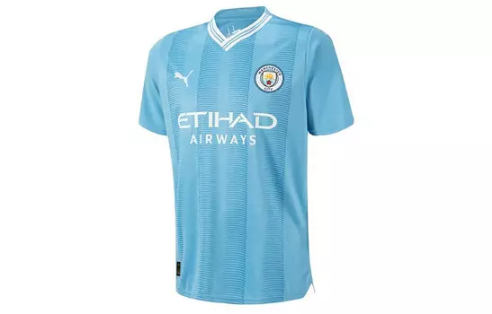 Мужская футболка Puma, цвет Blue
