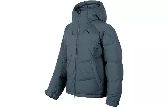 Мужская куртка Puma, Синий