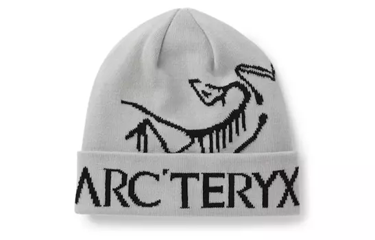 Мужская шапка Arcteryx, цвет gray-orca