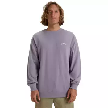 Мужская толстовка Arch Billabong, пурпурный