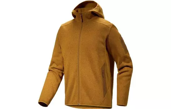 Мужская толстовка Arcteryx, Черный вереск