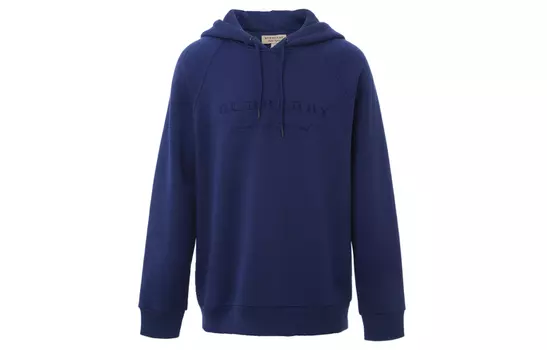 Мужская толстовка Burberry, цвет Blue