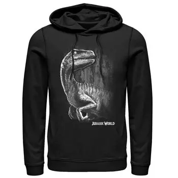 Мужская толстовка с капюшоном Jurassic World Raptor Smile Licensed Character