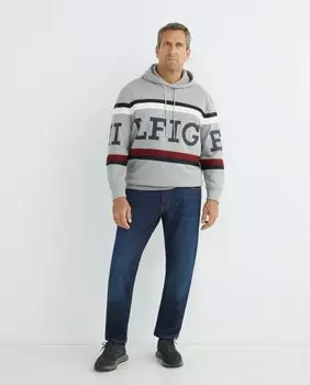 Мужская толстовка с капюшоном Tommy Hilfiger больших размеров Tommy Hilfiger, серый