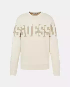 Мужская толстовка с логотипом спереди Guess, бежевый