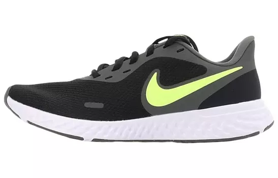 Мужские беговые кроссовки Nike Revolution 5 Series