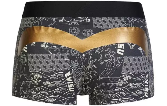 Мужские боксеры Evisu