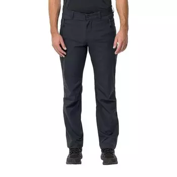 Мужские брюки Jack Wolfskin, серый