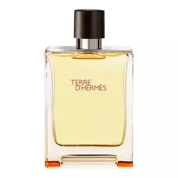 Мужские духи hermes Hermes Terre D', 200 мл