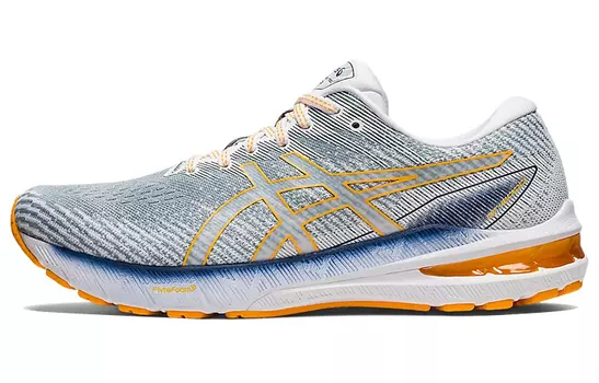 Мужские кроссовки Asics GT-2000 10