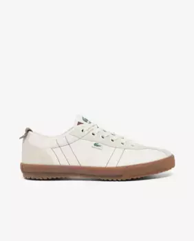 Мужские кроссовки Backslam Lacoste, цвет Caqui