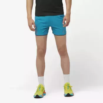 Мужские шорты Sense Aero 5'' Salomon, синий