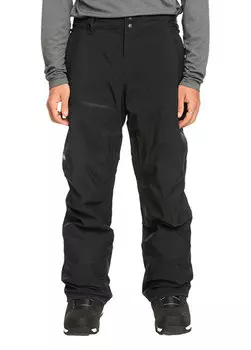 Мужские сноубордические брюки forever stretch gore-tex Quiksilver