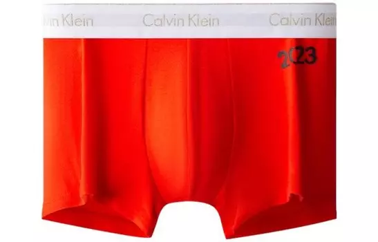 Мужские трусы Calvin Klein