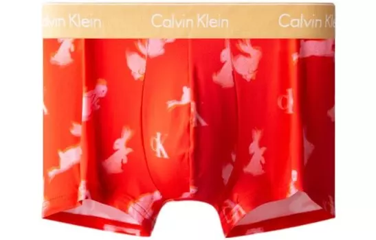 Мужские трусы Calvin Klein