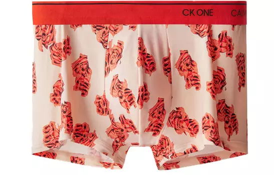 Мужские трусы Calvin Klein