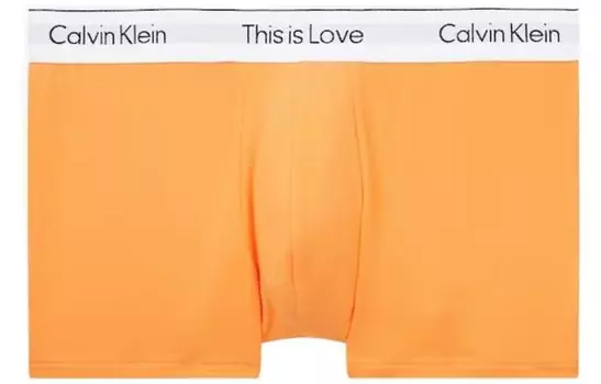 Мужские трусы Calvin Klein