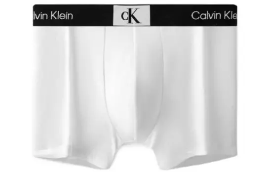 Мужские трусы Calvin Klein