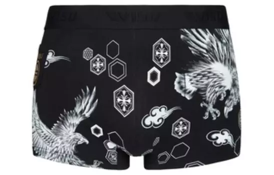 Мужские трусы Evisu