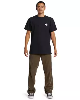 Мужские вельветовые пляжные брюки Quiksilver DNA, цвет Canteen