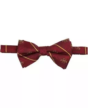 Мужской оксфордский галстук-бабочка Cardinal Iowa State Cyclones Eagles Wings, красный