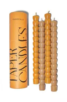 Набор свечей Orange & Orange, 4 шт. Paddywax, мультиколор