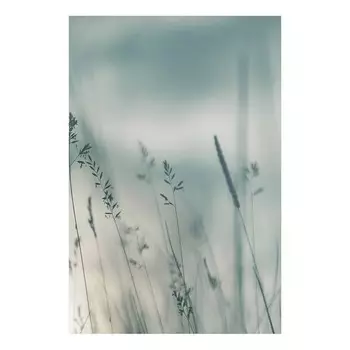 nan