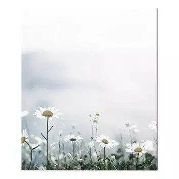 nan