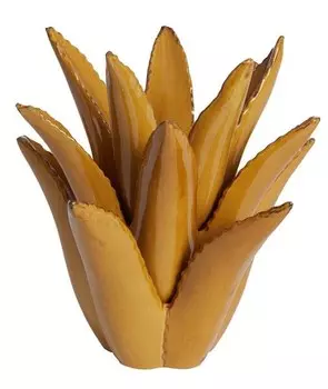 nan