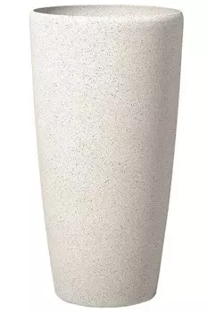nan