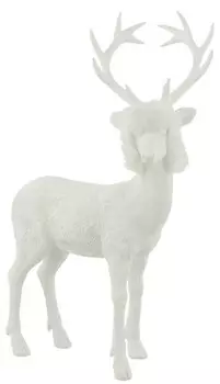 nan