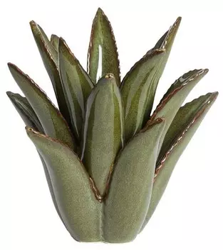 nan