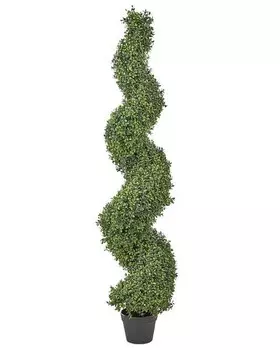 nan